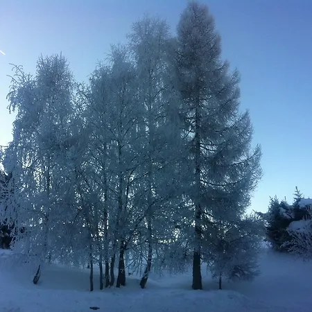 Farmreiterhof Homestay Pruggern