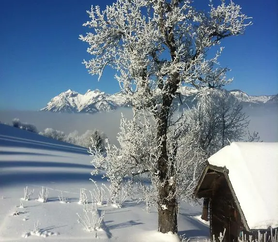 Farmreiterhof Pruggern